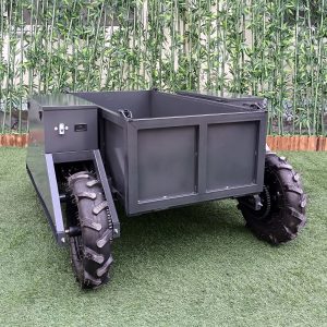 remote-control-all_terrain_transport_b