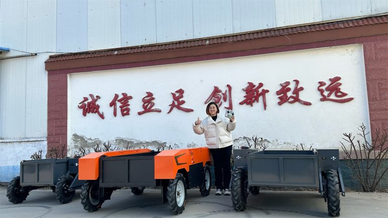 RC Off Road Load Carrier China Manufacturer Factory