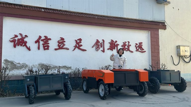 Wireless Rough Terrain Transport Walker China Manufacturer Factory